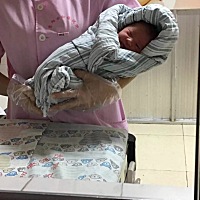 卸货了，卸货了，由于胎儿小的原因，前面产检的时候医生有说过，由于第一胎老大7.7斤，这胎才五斤多，生...