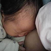 十一宝贝五天了😊