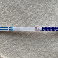 第一张昨天测的，第二张今天测得，然后还有四天来大姨妈，这是有了吗