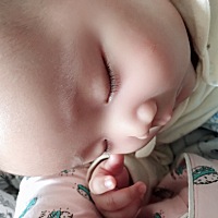 只要挨着我你总是睡的香甜