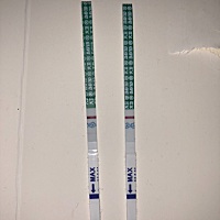 左边的这个是刚刚测的，有了嘛？11.3排卵
