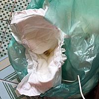 半个月的宝宝吃奶粉的大便干硬一次就拉这么点是不是便秘了，有宝妈知道怎么弄吗？