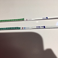 备孕11个月了。亲们。帮我看看大卫有印吗？ 我567不晓得那天排卵。19号月经