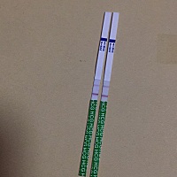 上个月17号来的姨妈，这个月现在还没来，胸一直涨涨的疼，今天测了一下刚开始看没有，后来不抱希望准备...