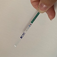 一个早上晨尿测，第二个是刚刚11点半测的。是怀孕了吗，排卵的12天吧。