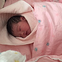 6斤6两大闺女爸爸小情人，妈妈的小情敌