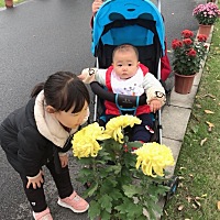 可怜的小宝贝拉肚子