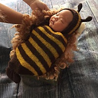 喜提满月小蜜蜂🐝一只