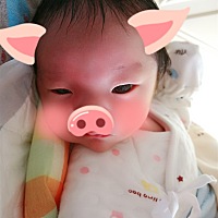😂能吃能睡能拉的小猪娃
