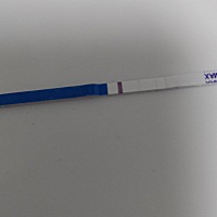 求大神帮忙看看，是意念灰么