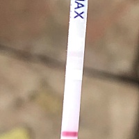 这是怀孕了吗？