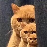 自从生完宝宝，感觉身体大不如从前了。