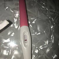 排卵第12天！这是有了吗？ 7月份也怀了，生化了，真的太沮丧了！ 现在是老天送我的礼物🎁吗？