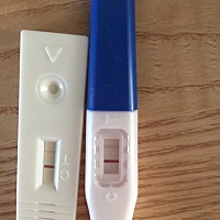 末次月经11月4号。昨天验孕棒久置后显示很淡的一条T线，今早测到两道杠。感谢昨天交流的小伙伴。