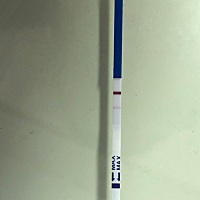 求解，隐隐有第二道杠出现，是否怀孕？