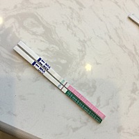 17号排卵、23号着床出血、25号26号早孕试纸浅色印、昨天和今天白板、排卵期胸胀到现在、最近几天小肚子...