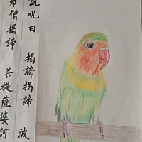在家养身体之余，写写毛笔字，画画彩色铅笔画，把所有的不愉快抛之脑后！