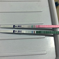 这算怀孕吗？末次月经11月8号，没有特地测排卵日，大概23-24号左右排好像。今天用排卵试纸和早早孕试纸...