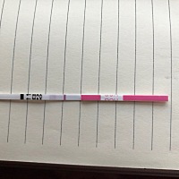 亲爱的朋友们 请问这个有没有？备孕期间