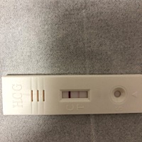 我11月5号来的大姨妈，然后我这几天测的都是双杠，有没有可能因为是快来大姨妈的原因，才测出来双杠的，...