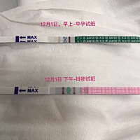 早上早孕试纸测的不明显，后来时间久了杠明显了应该不算数了吧。  下午又用排卵试纸测了一下两个杠还算...
