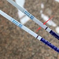 宝宝们帮我看看怀了没