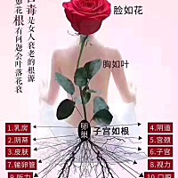 有人看懂这个图吗