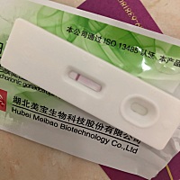 11月4日来的月经。今天12月4日……又没有。心烦……