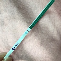 末期月经是11月6号，今天不是晨尿测的，请问这是怀孕了吗