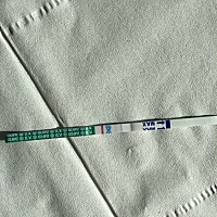 啊。我末次月经11月11日。每次提前俩三天周期27天差不多。这次离家应该8号来。但是今天没来。我就随手测...