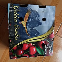 吃啥东西都要一次吃到再也不想吃，一箱490，5斤。孩子他爸真是一根筋