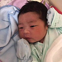 12月1日，坚持了36小时，打了无痛，侧切缝了四针，喜迎八斤半小安安