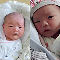大宝跟小宝都比较相似🤣