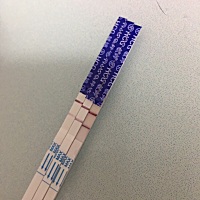 我做了所有人都讨厌的一种人，如今的我真不懂该怎么办……呵呵，可能我活该如此！