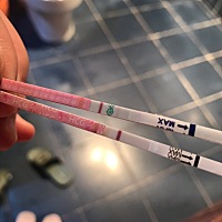 11月10末次月经，排卵期25号左右，同房差不多15天，现在月经日期到了，大姨妈没来，我用排卵试纸检测有...