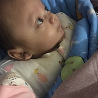 我的两个宝贝蛋