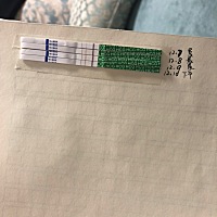 求助各位有经验的宝妈～ 12月7测出怀孕的，末次月经是11月9，测出怀孕那天之后一直坚持用早早孕试纸测数...