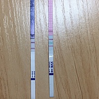 刚测的排卵试纸，这是要排卵了吗？