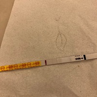 30号排卵，前两天排卵强阳，大卫早早孕一直白板，昨晚上换了金秀儿早早孕测到粉印，今早上出门前又测了...