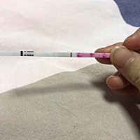 帮我看看这是不是意念灰 12.4号排卵 12.11测的zzy