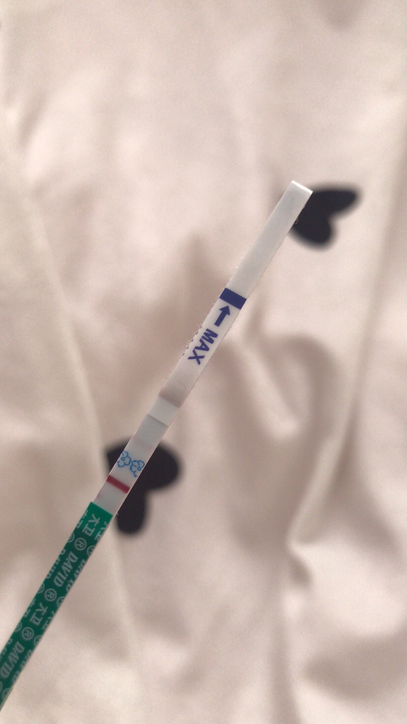 备孕一个月 昨天晚上测的和今天早上测的一模一样 
第二条线浅浅的 有经验的宝妈们能评论一下嘛