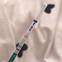 备孕一个月 昨天晚上测的和今天早上测的一模一样  第二条线浅浅的 有经验的宝妈们能评论一下嘛