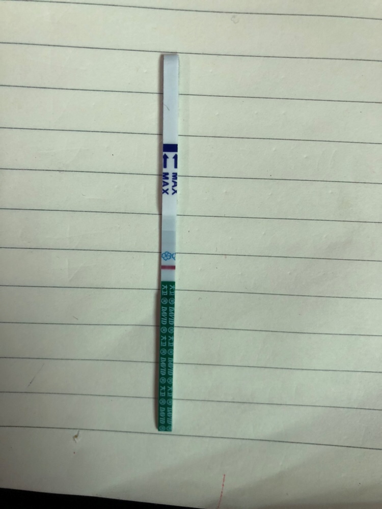 自己测的早孕测纸