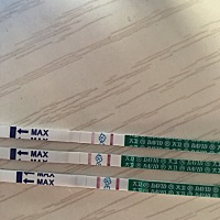 末次月经11.10，12.10去医院查血，hcg值是750，孕酮值是44，今天是第五周了，肚子隐隐约约有跳动的痛感...