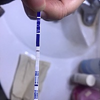 上月11-14号来月经，今天12-14该来月经没有来.用试纸试了一下一深一浅.然后中午又试了一下只有一条线.什...