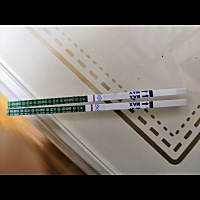 是不是怀孕了？