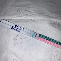 备孕才一个月，这月蜜月旅行才开始的造人计划…离大姨妈还有四天…我…有点激动…但是…我没那么好运吧...