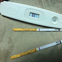 保佑宫内健康成长  昨天测今天去检查hcg和孕酮  官方怀孕了 hcg50 正常  孕酮要等