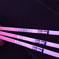 各位经验丰富的姐妹们能帮我看看那根两条一样红的是不是今天比较容易受孕，我新手一枚