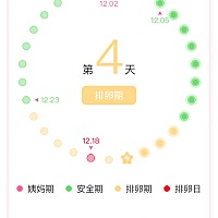 问下各位姐妹这个标了个排卵日啥意思？我有点蒙圈